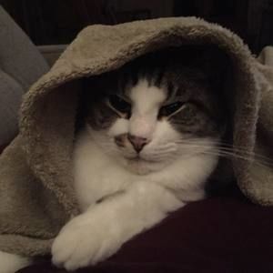 Meet your Posher, Brigitte